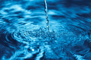 Read more about the article Water Softening vs. Water Conditioning – What’s the Difference?