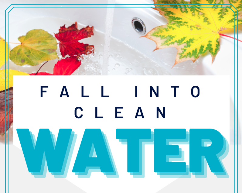 Read more about the article Fall Into Clean Water!