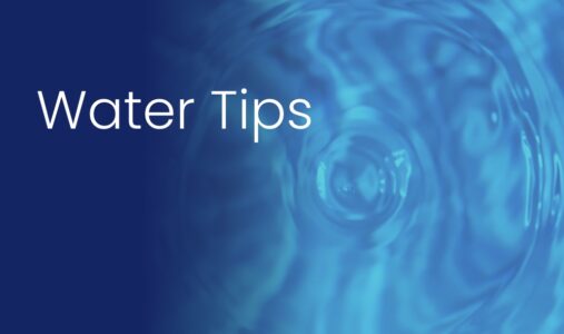 Dehydration and Water Safety Tips